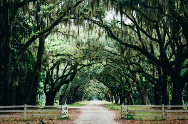 Traveling soon to Savannah